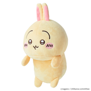 Posture Pal - CHiiKAWA - Premium Pick