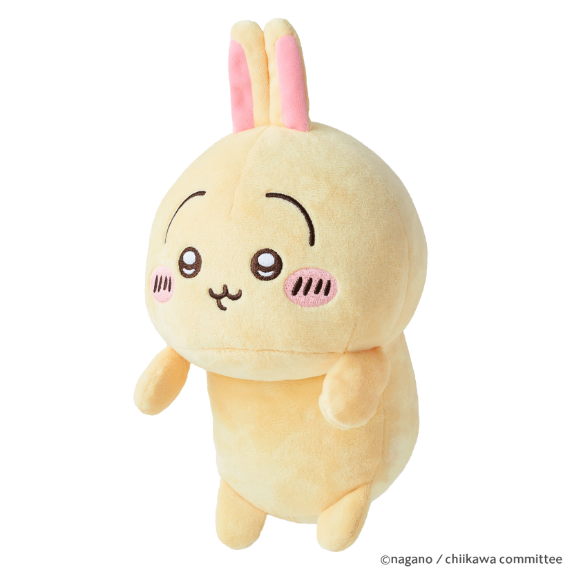 Posture Pal - CHiiKAWA - Premium Pick