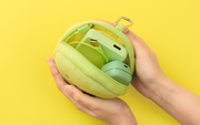 SMISKI Cushion Pouch - Easy Style