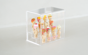 Sonny Angel Acrylic Display Case - Cute Pick