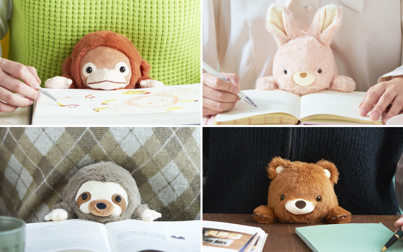 Posture Pal - Shelf Ready